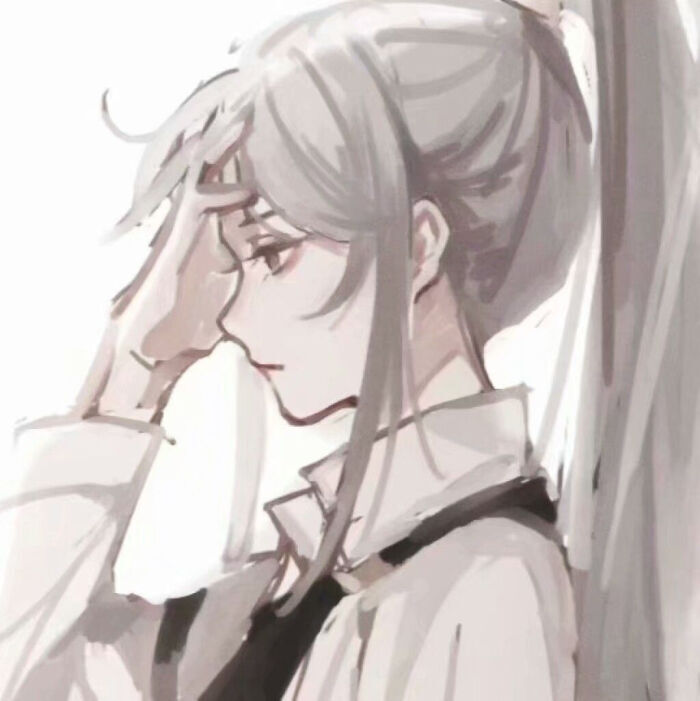 长安风华录